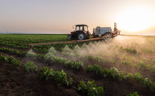 Best Insect Control  in Nipomo, CA
