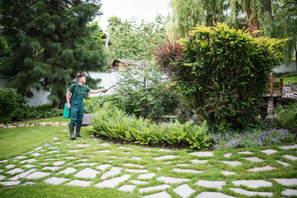 Best Emergency Pest Control  in Nipomo, CA